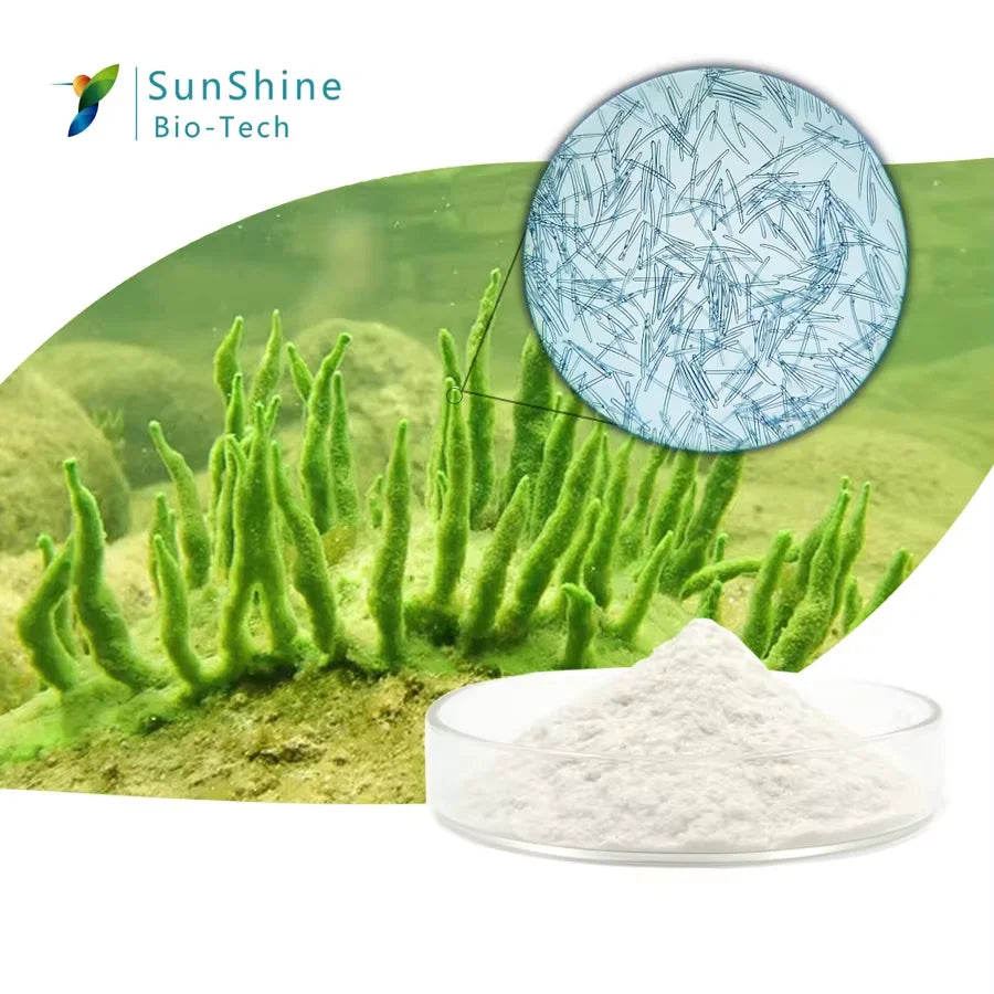 PWYUMAN Hyaluronic Acid Sleeping Facial Mask 30 stk